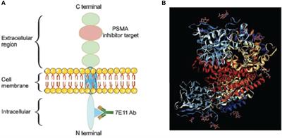 The Value of Multimodality PET/CT Imaging in Detecting Prostate Cancer Biochemical Recurrence